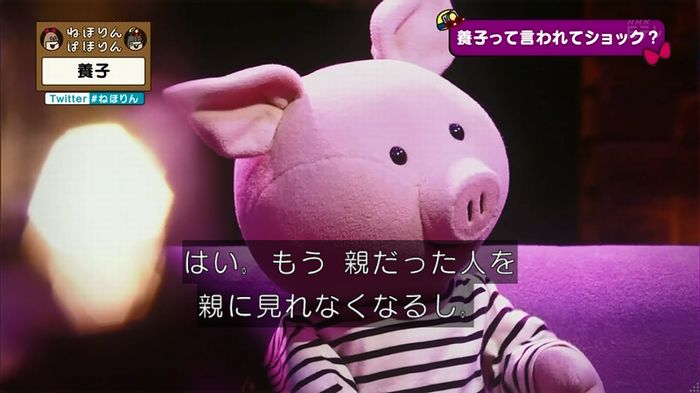 ねほりん 養子回のキャプ95