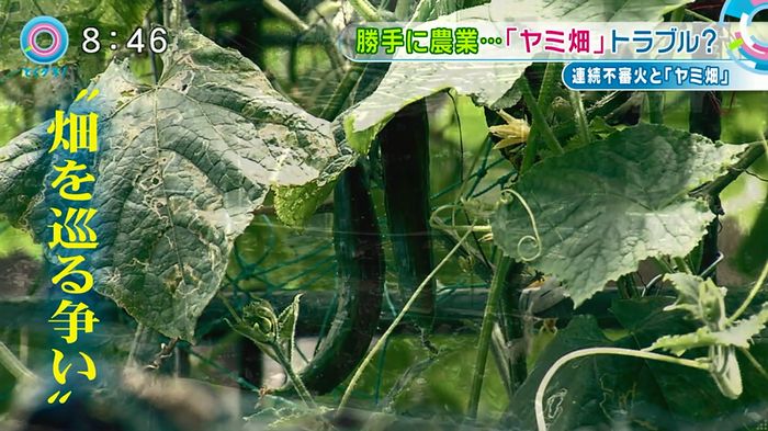 とくダネ!のキャプ51