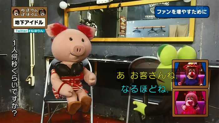 ねほりん 地下アイドル回のキャプ362