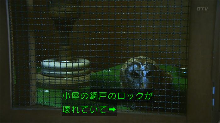 警視庁いきもの係 8話のキャプ714