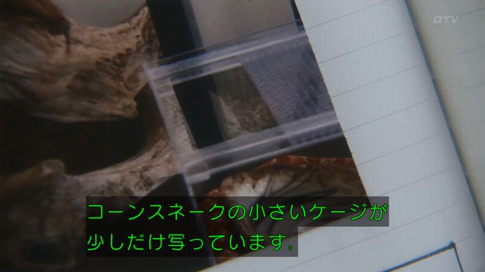 いきもの係 3話のキャプ245