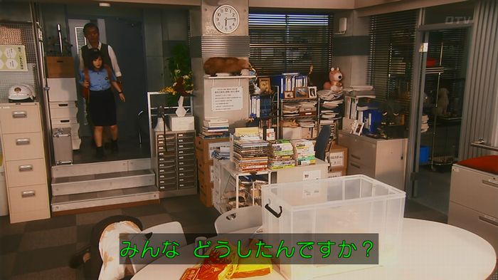 警視庁いきもの係 8話のキャプ397
