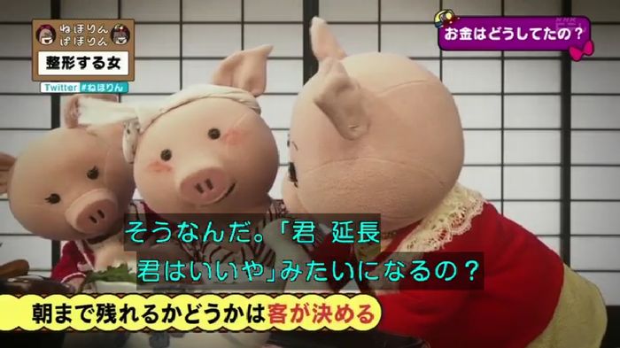 ねほりんぱほりんのキャプ264