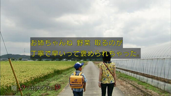 ウツボカズラの夢5話のキャプ460