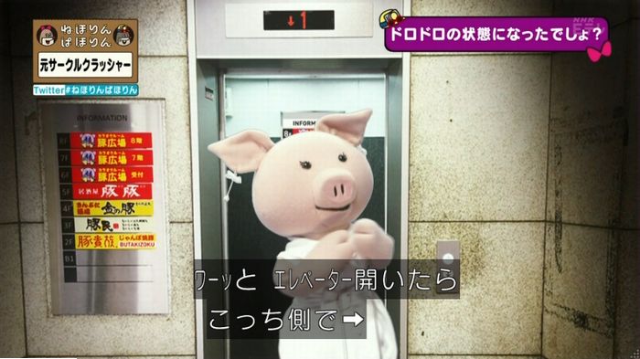 ねほりんぱほりん サークルクラッシャーのキャプ86