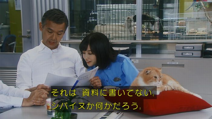 いきもの係 3話のキャプ97