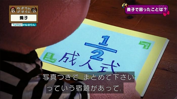 ねほりん 養子回のキャプ162