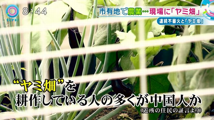 とくダネ!のキャプ33