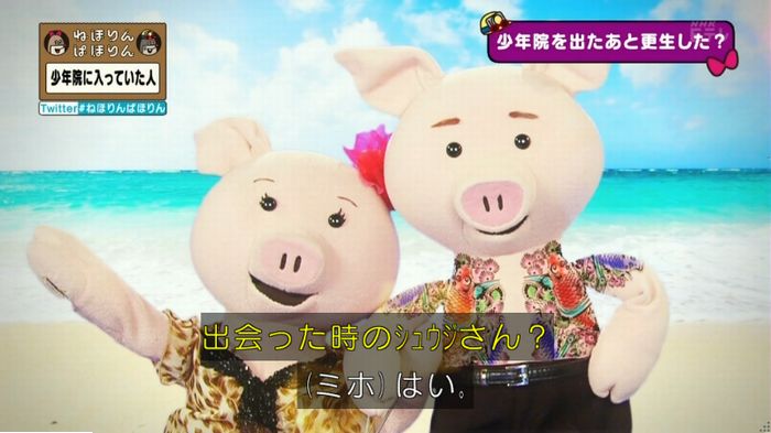 ねほりんぱほりんのキャプ233