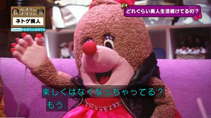 ねほりんネトゲ廃人のキャプ260
