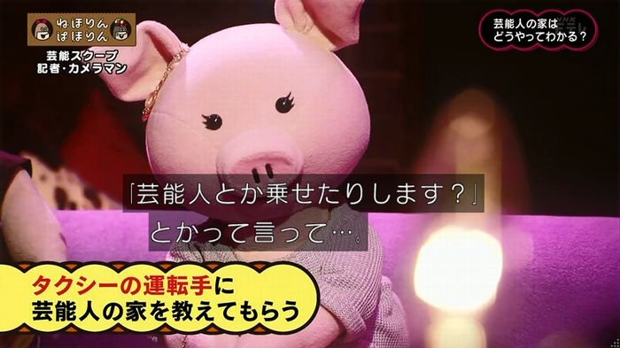 ねほりん 芸能スクープ回のキャプ100