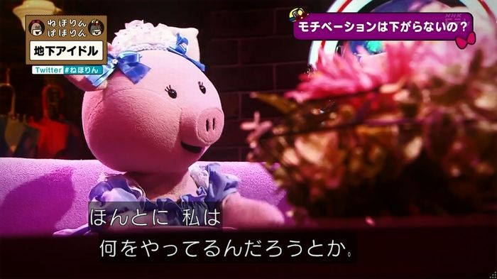 ねほりん 地下アイドル回のキャプ524