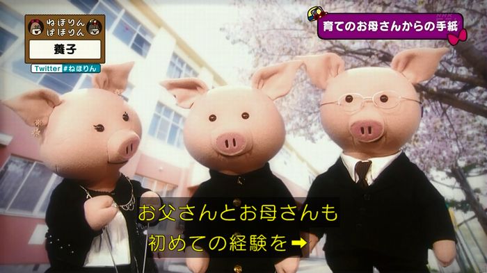 ねほりん 養子回のキャプ418