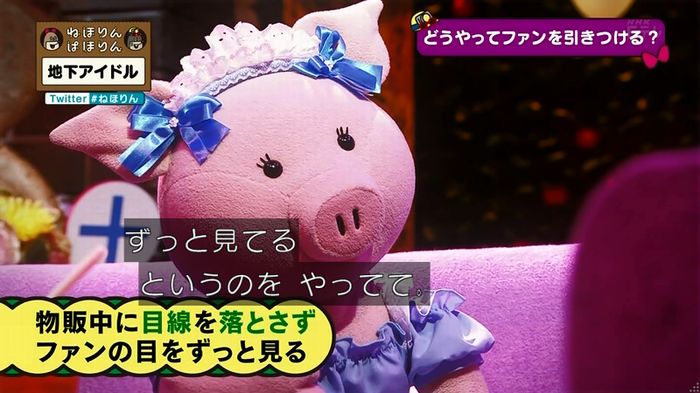 ねほりん 地下アイドル回のキャプ398