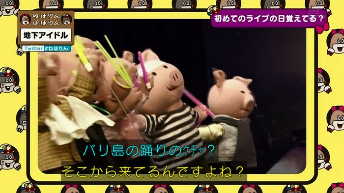 ねほりん 地下アイドル回のキャプ314