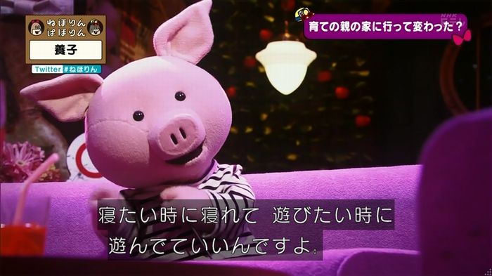 ねほりん 養子回のキャプ73