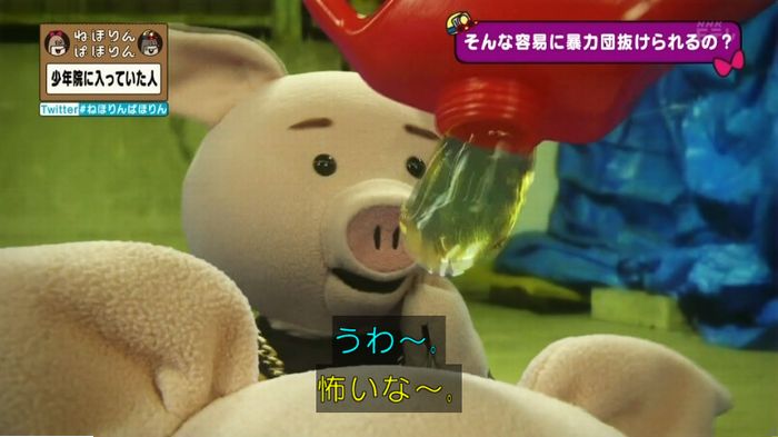 ねほりんぱほりんのキャプ264