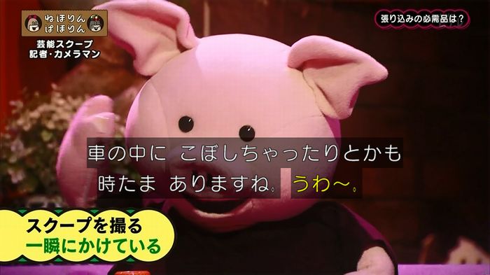 ねほりん 芸能スクープ回のキャプ201