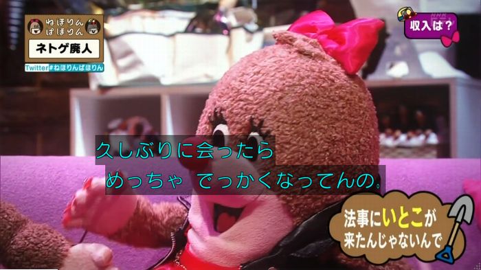 ねほりんネトゲ廃人のキャプ237