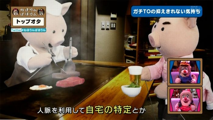 ねほりんぱほりんのキャプ446