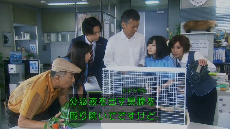 いきもの係 4話のキャプ115
