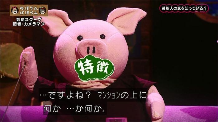 ねほりん 芸能スクープ回のキャプ96