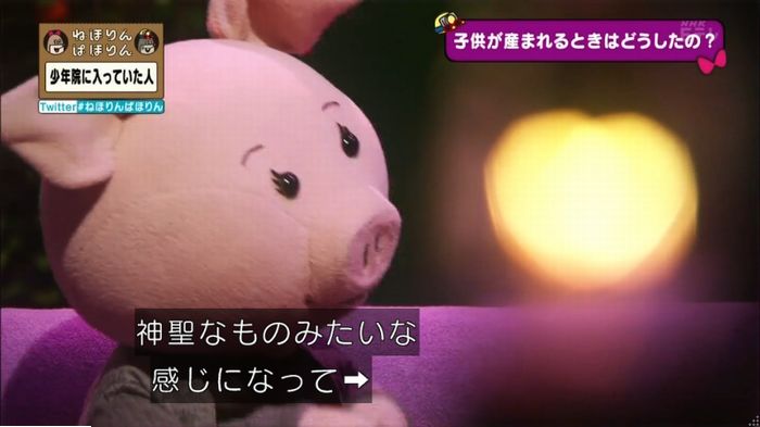 ねほりんぱほりんのキャプ346