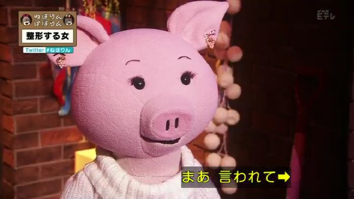 ねほりんぱほりんのキャプ37