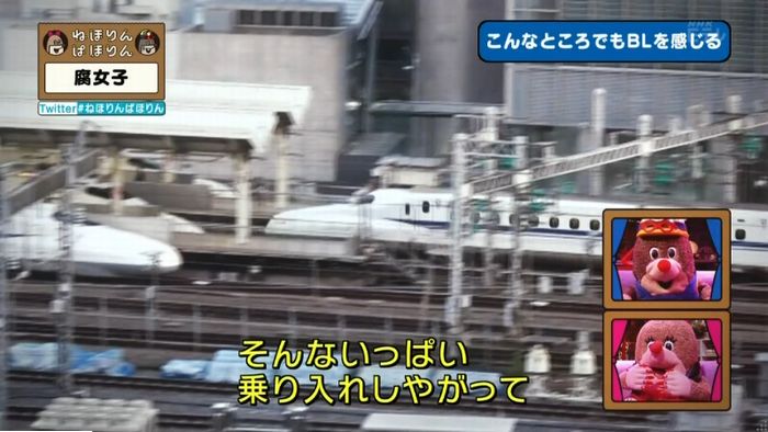 ねほりん腐女子回のキャプ262