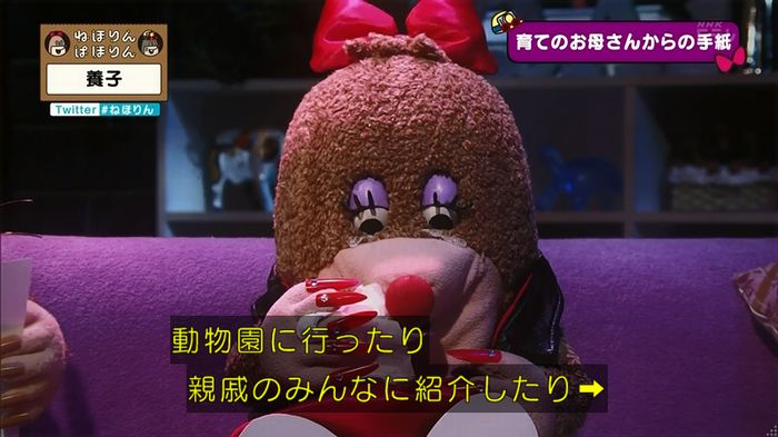 ねほりん 養子回のキャプ404