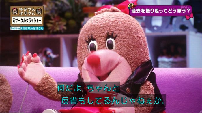 ねほりんぱほりん サークルクラッシャーのキャプ505