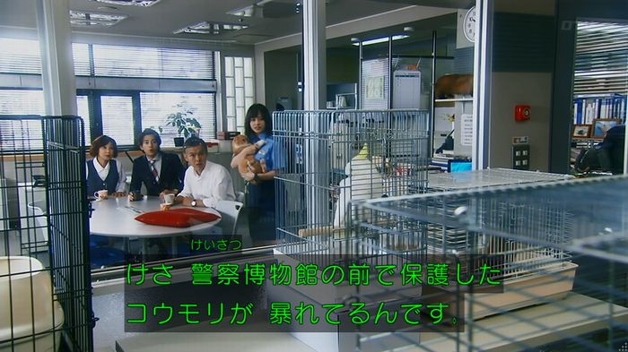 警視庁いきもの係 8話のキャプ841