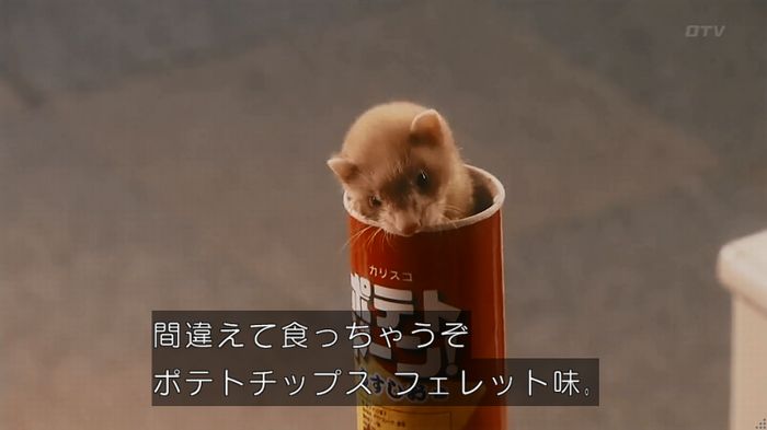 警視庁いきもの係 8話のキャプ416