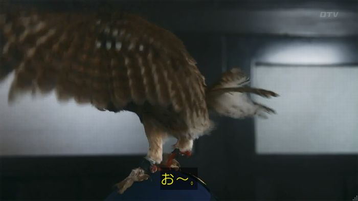 警視庁いきもの係 8話のキャプ176