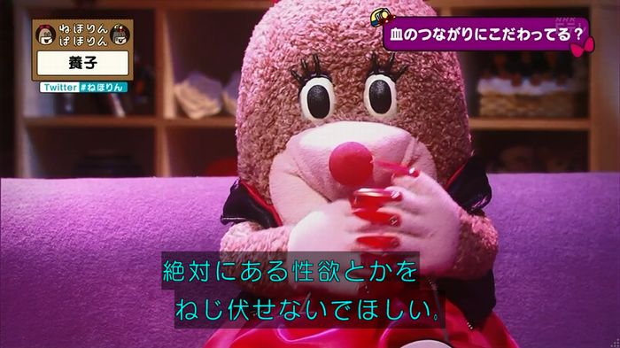 ねほりん 養子回のキャプ357