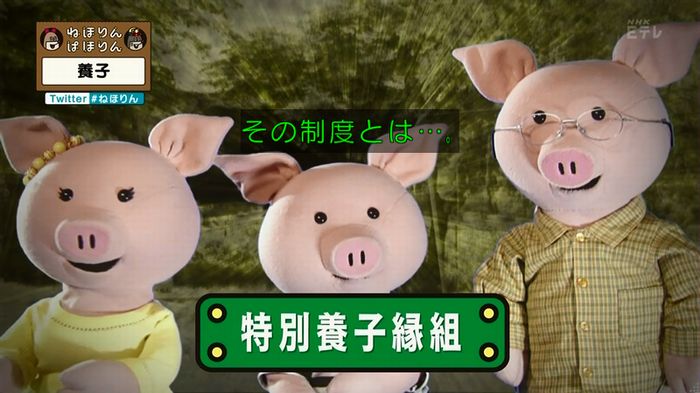 ねほりん 養子回のキャプ30