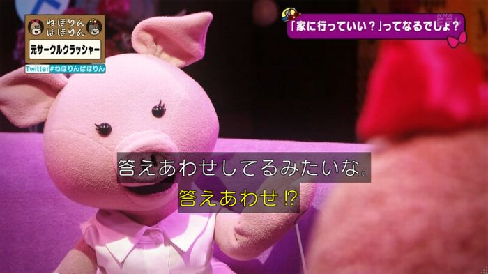 ねほりんぱほりん サークルクラッシャーのキャプ220