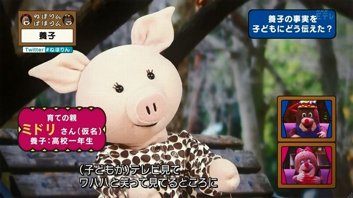 ねほりん 養子回のキャプ122