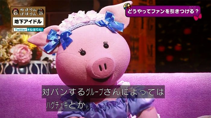 ねほりん 地下アイドル回のキャプ492