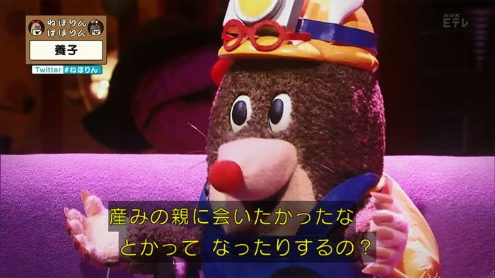 ねほりん 養子回のキャプ283