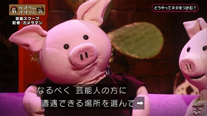 ねほりん 芸能スクープ回のキャプ34