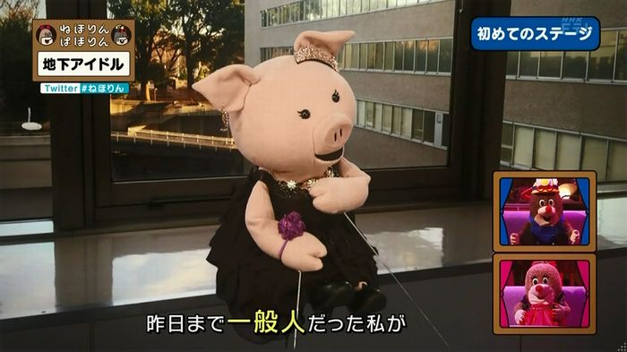 ねほりん 地下アイドル回のキャプ291