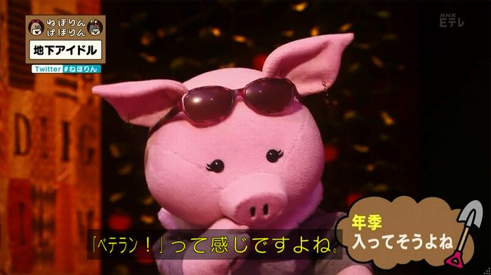 ねほりん 地下アイドル回のキャプ53