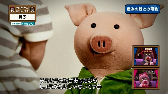 ねほりん 養子回のキャプ327