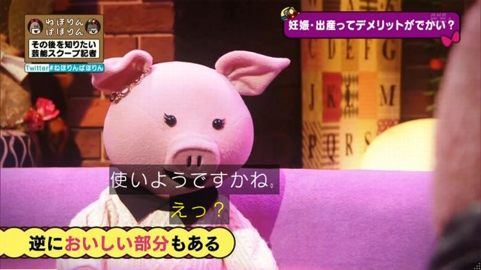 ねほりんぱほりんのキャプ470