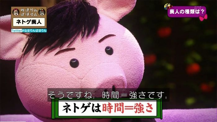 ねほりんネトゲ廃人のキャプ55