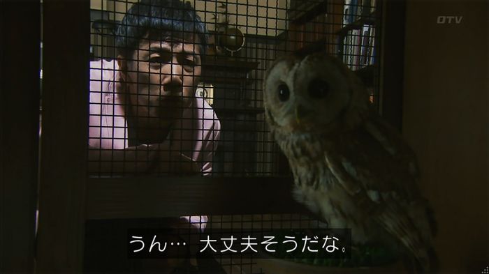 警視庁いきもの係 8話のキャプ339