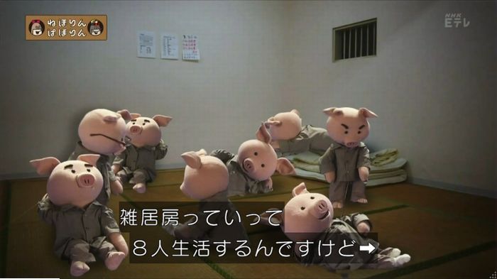ねほりんぱほりんのキャプ7