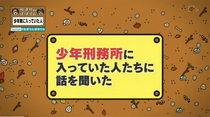 ねほりんぱほりんのキャプ161