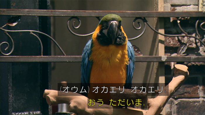 嘘の戦争のキャプ266